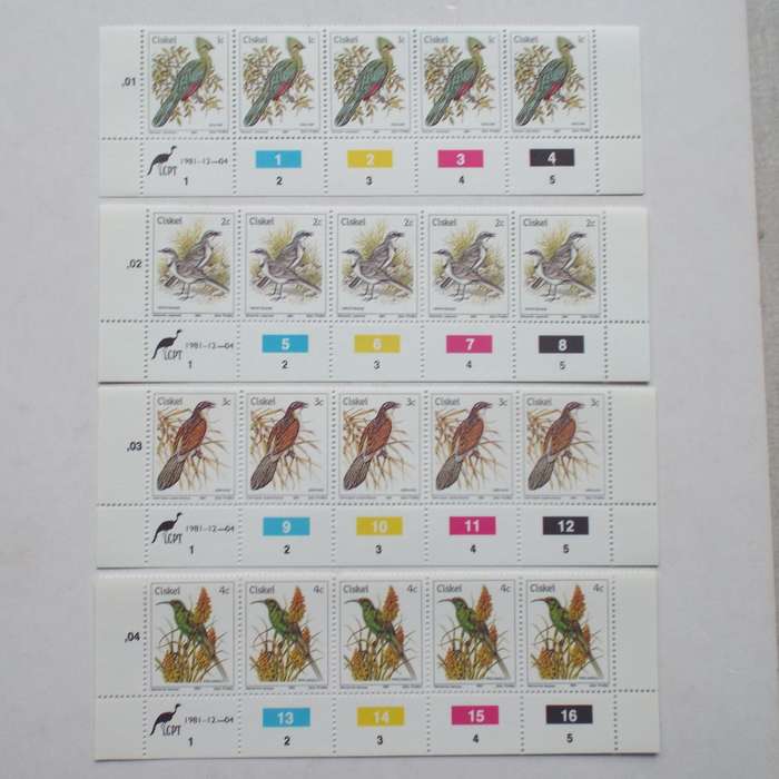 Ciskei - 1981 1st Definitive Issue "Birds" - Full Set of Control Strips of 5 (Original Print) - MNH