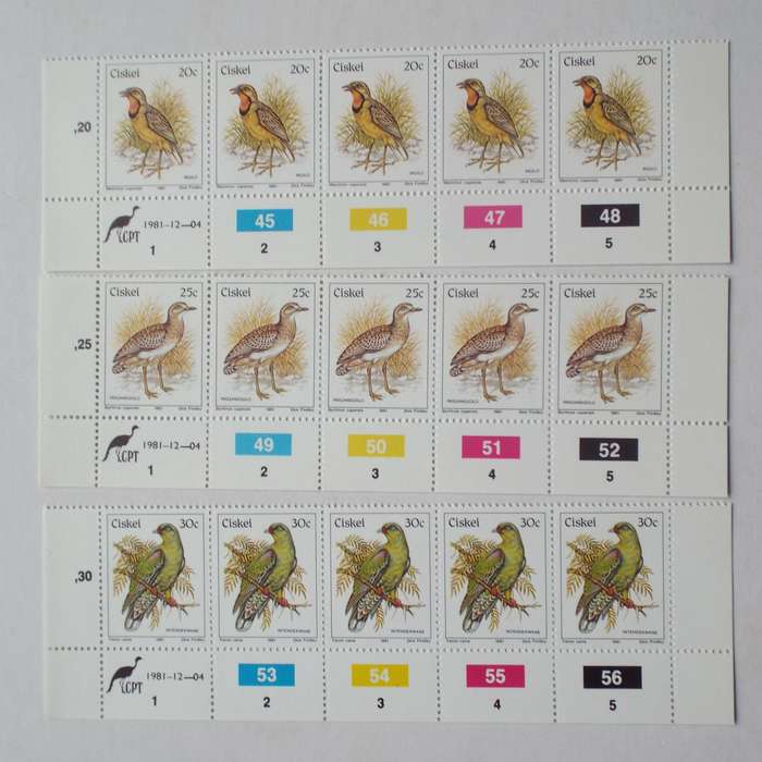 Ciskei - 1981 1st Definitive Issue "Birds" - Full Set of Control Strips of 5 (Original Print) - MNH