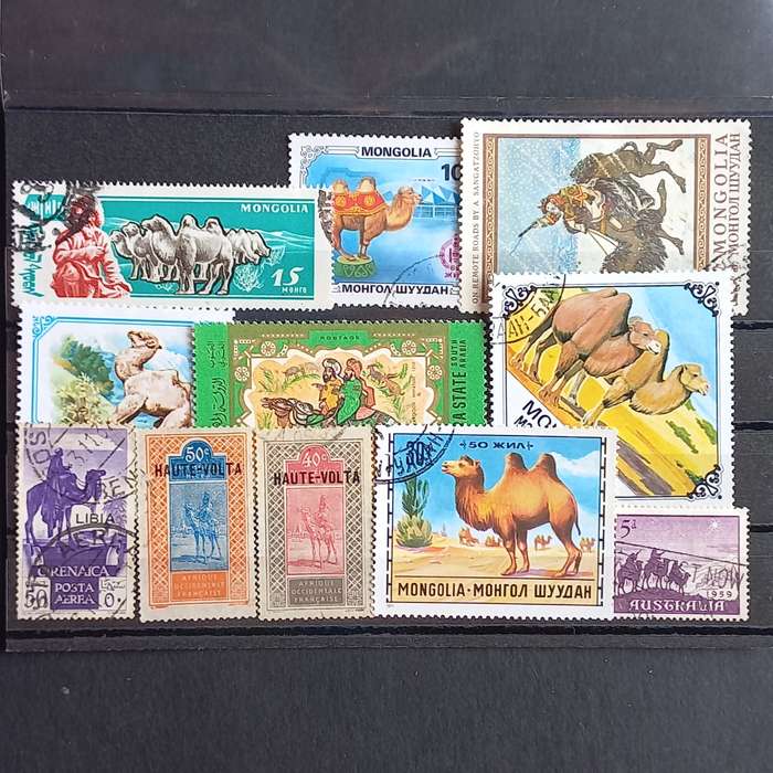 Thematics - Camels - 11 stamps - No duplication