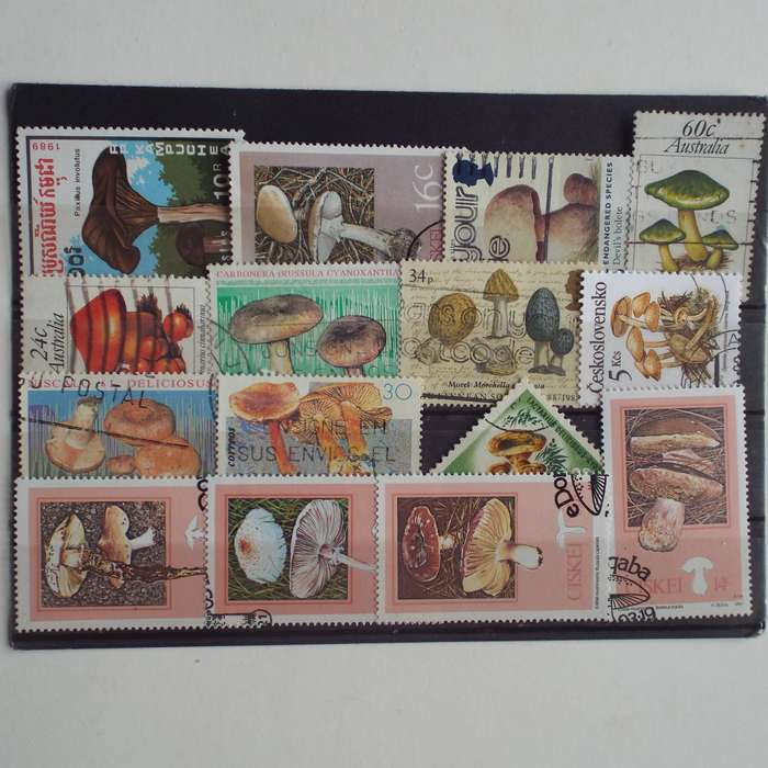 Thematics - Mushrooms - 15 stamps - Mixed World - no duplication