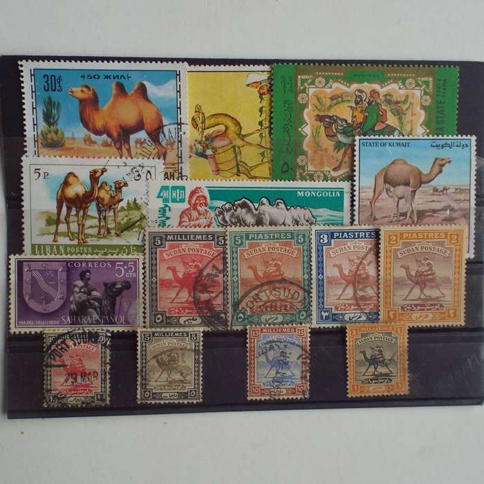 Thematics - Camels - 15 stamps - Mixed World - no duplication
