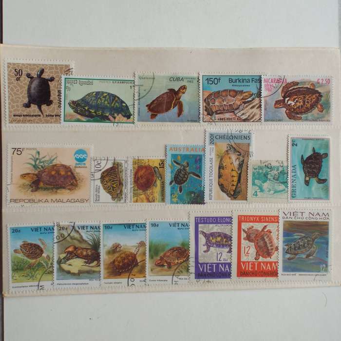 Thematics - Tortoises & Turtles - 19 stamps - Mixed World - no duplication