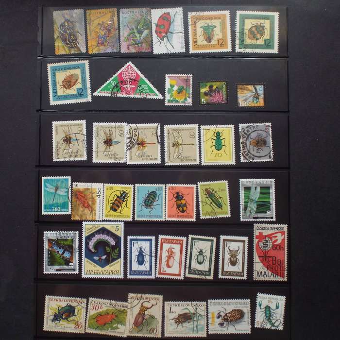 Thematics - Insects - 120 stamps - Mixed World - no duplication