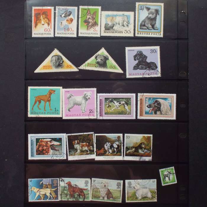 Thematics - Dogs - 80 stamps - Mixed World - no duplication