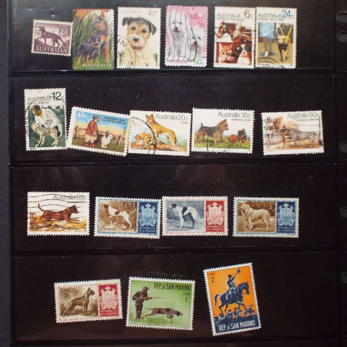 Thematics - Dogs - 80 stamps - Mixed World - no duplication