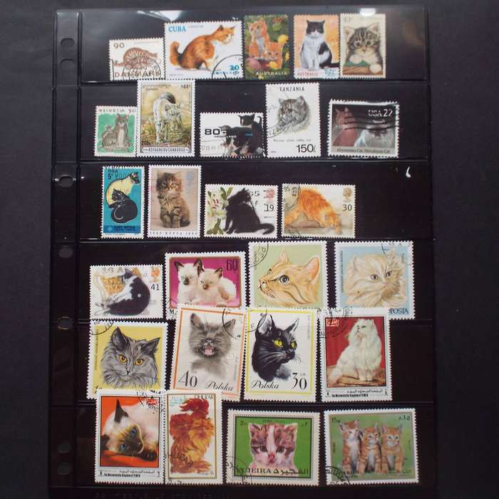 Thematics - Cats - 36 stamps - Mixed World - no duplication