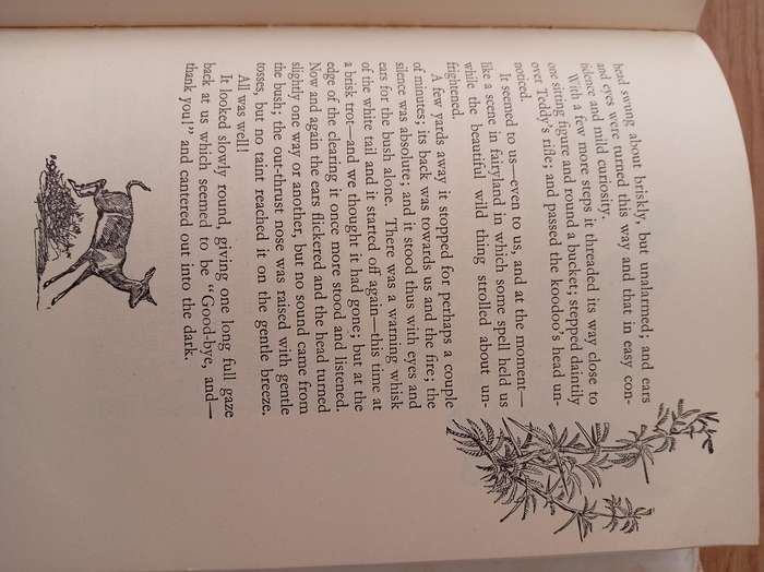 Jock of the Bushveld : Sir Percy Fitzpatrick
