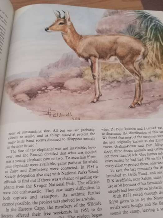 The Conservationists and the killers : John Pringle