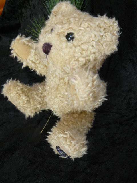 TEDDY BEAR