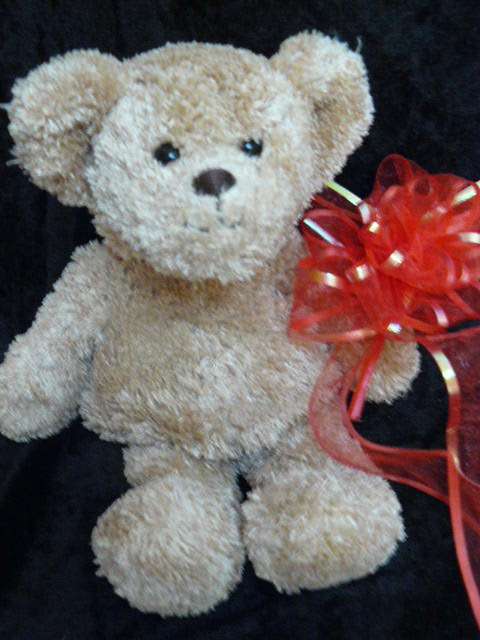 TEDDY FROM SWITZERLND