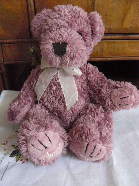 TEDDY BEAR SOFT HOME ZONE 35 CM