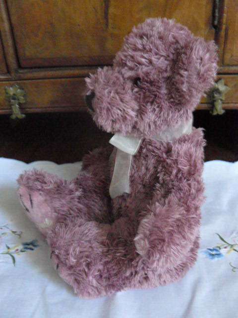 TEDDY BEAR SOFT HOME ZONE 35 CM