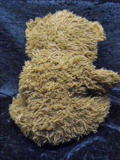 SCRUFFY TEDDY