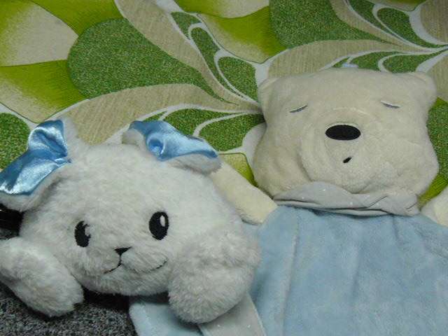 SOFT TOY with snuggle buddy