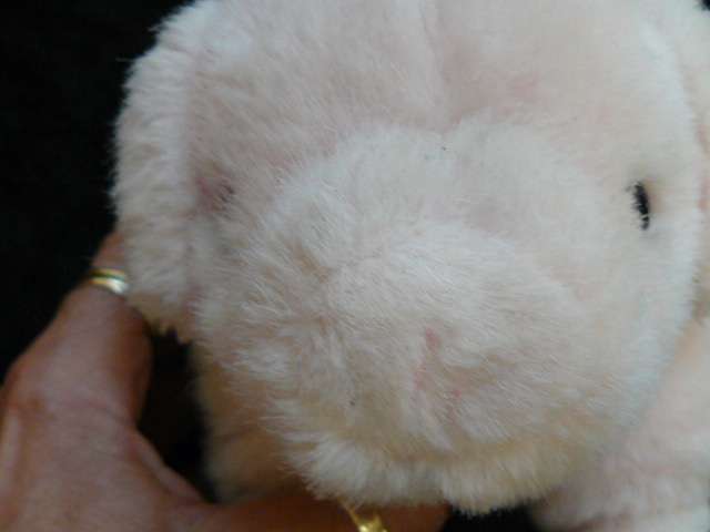 SOFT PIG