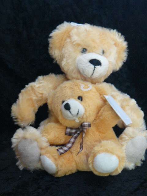 TEDDYS X 2 NEW SOFT AND JUST TOO CUTE