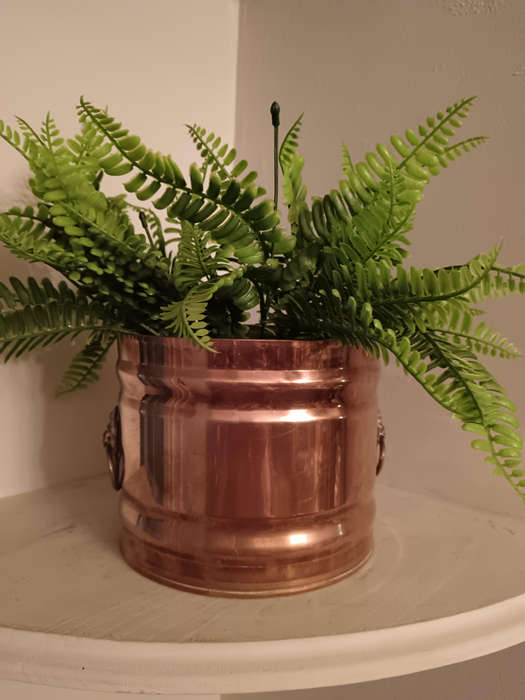 Brass Jardinier with Lion Head Handles on each Side
