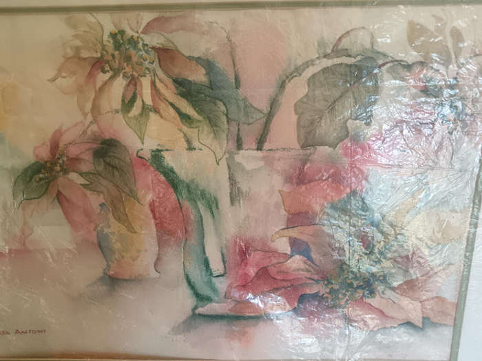 Unframed Water colour of Pointsettas by SA Artist Tessa Antoni