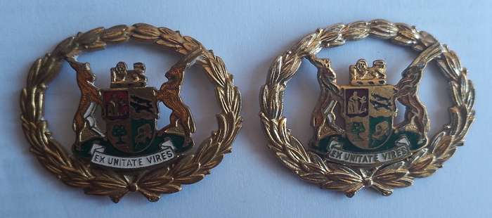 SA POLICE WARRANT OFFICER RANK BADGE X2 LUGS MISSING