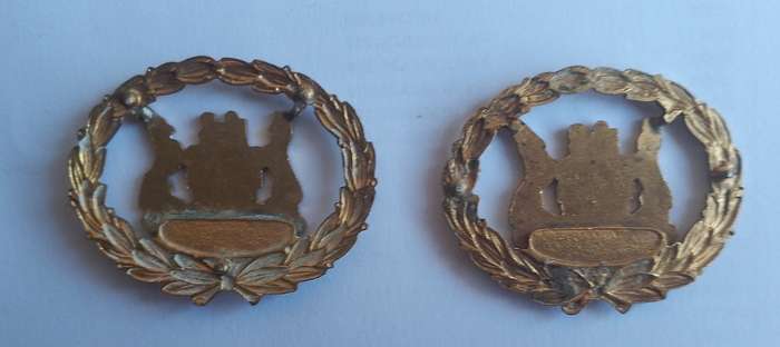 SA POLICE WARRANT OFFICER RANK BADGE X2 LUGS MISSING