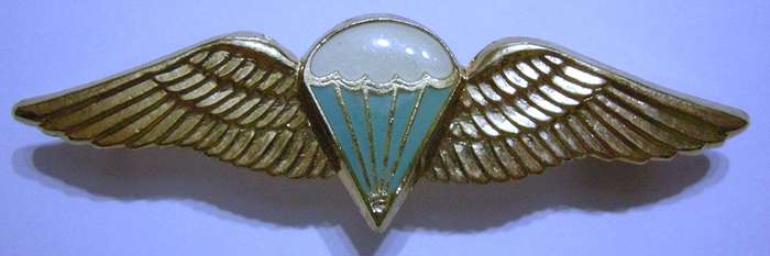 SA Parachute Basic Paratrooper 8 Jumps or More Wing Full Size