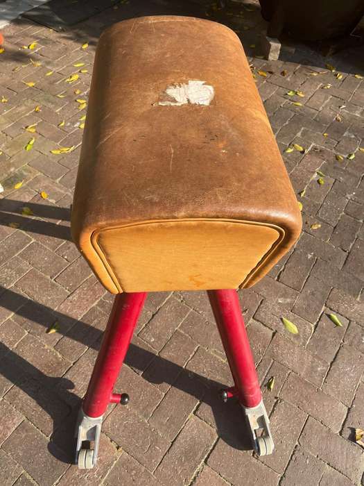 Vintage Pommel Horse
