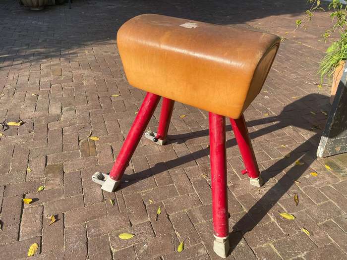 Vintage Pommel Horse