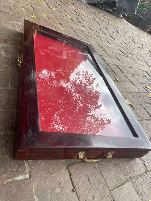 Beautiful Display Case ( 80 x 45 x 7 cm )