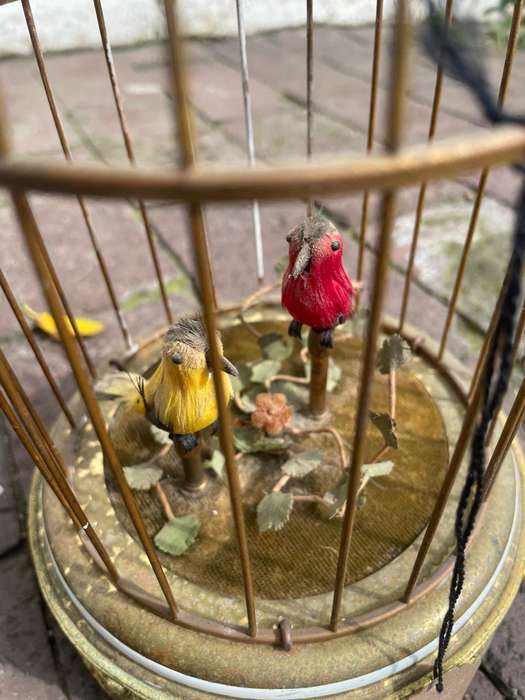 Rare Swiss Reuge Automatoin Bird Cage Music Box  ( 28 x 15 cm )