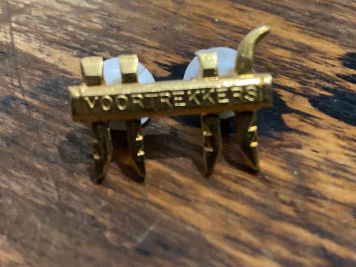 Collection of Afticana Pins and Badges
