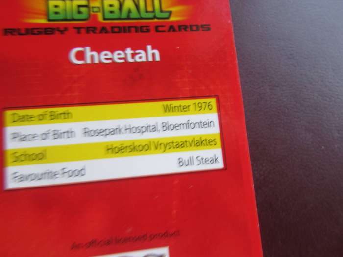 BIG BALL RUGBY - CHEETAH