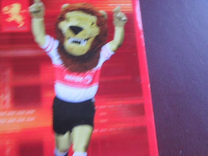 BIG BALL RUGBY - MUFASA
