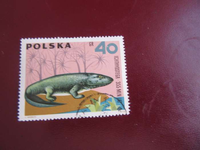 POLAND THEMATIC - DINOS - AS PER SCAN - WS2