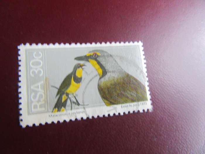 RSA - H137