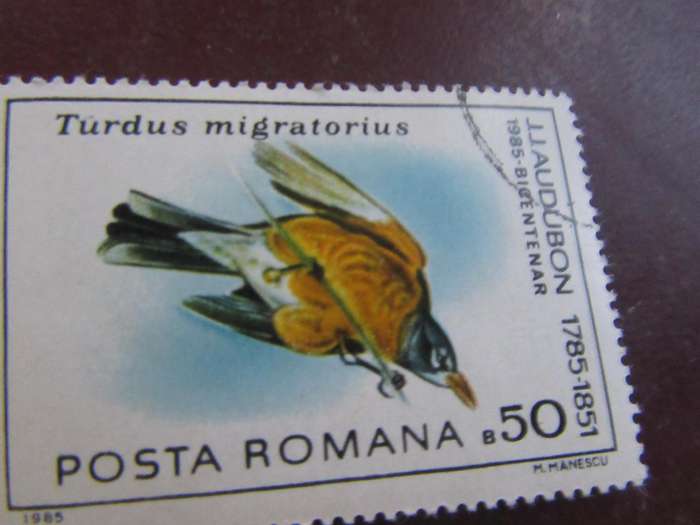ROMANIA -3