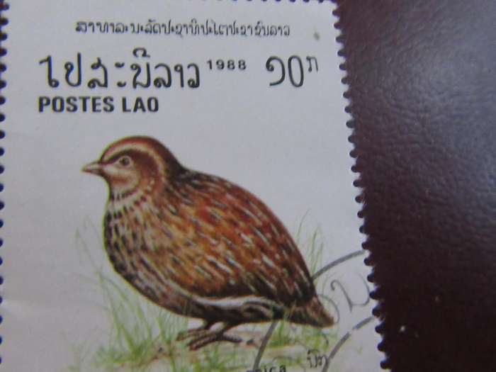 LAOS -3