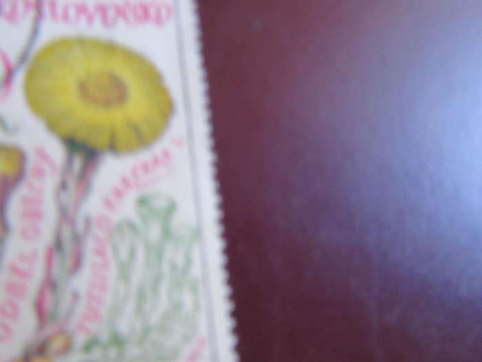 CZECHOSLOVAKIA -4
