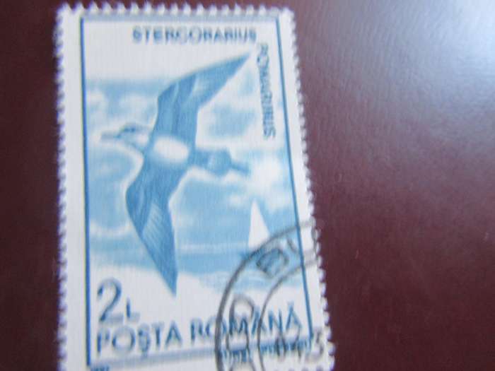 ROMANIA -5
