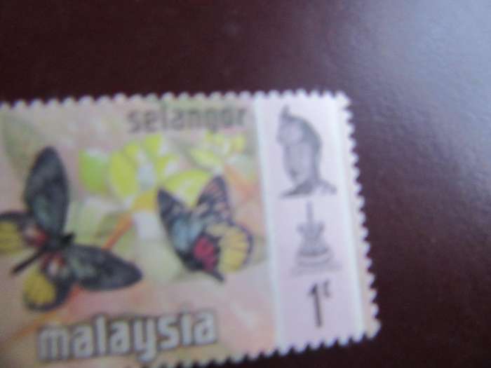MALAYSIA -21