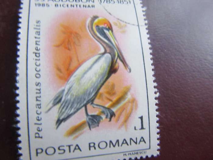 ROMANIA -12