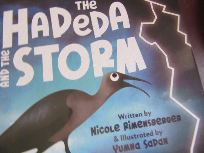 THE HARDEDA STORM - WIMPY -LD