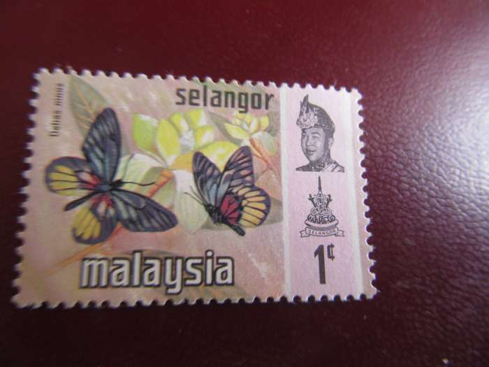 MALAYSIA- P1