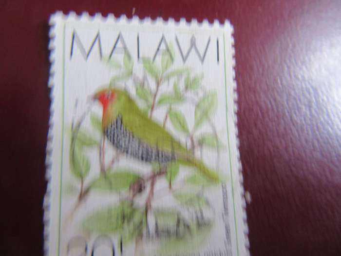 MALAWI P1