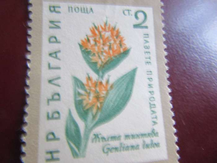 RUSSIA -P4