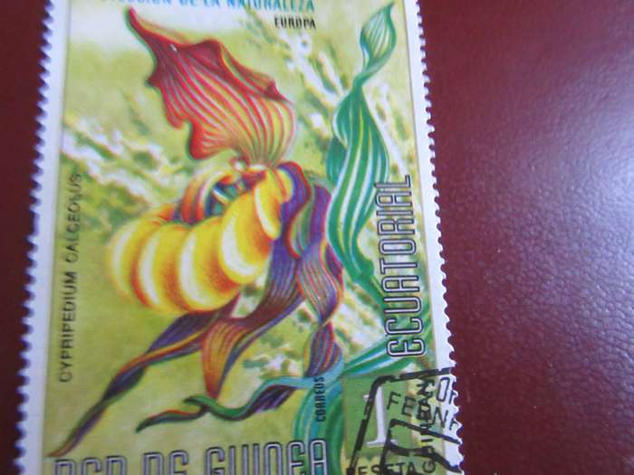 DE GUINEA - P4