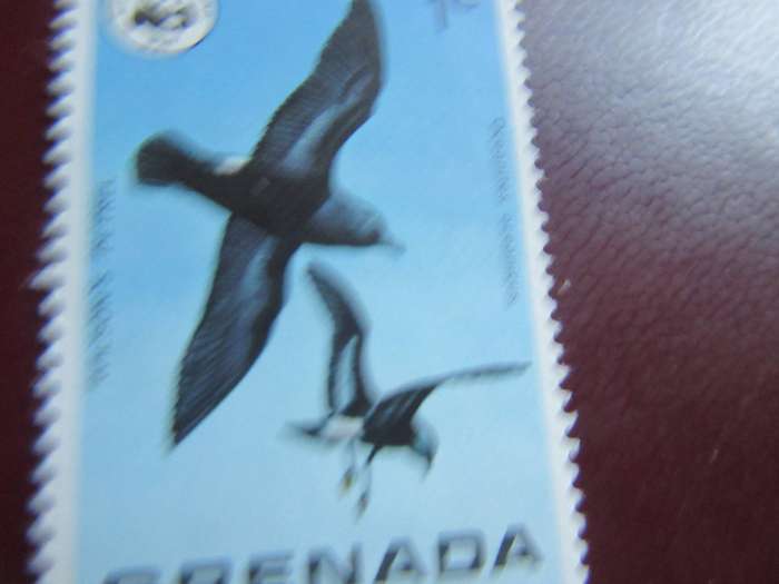 GRENADA -P4