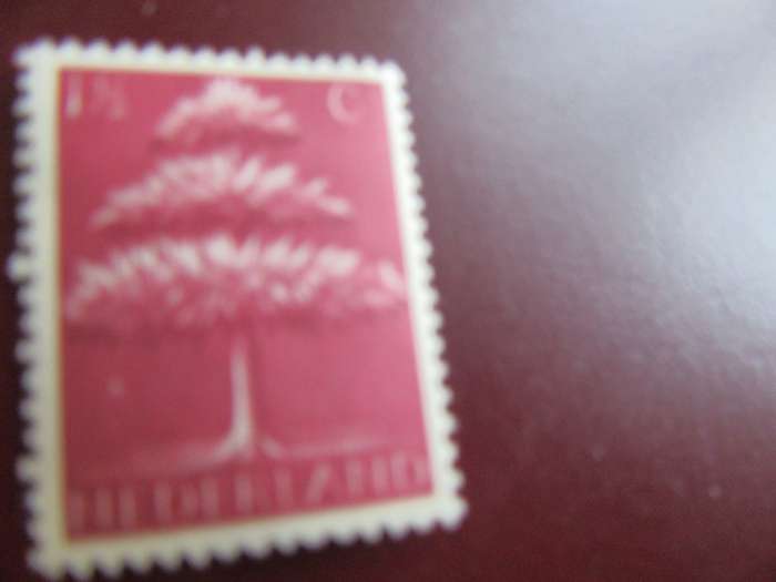 NETHERLANDS -1