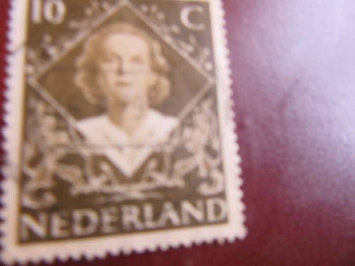 NETHERLANDS -1