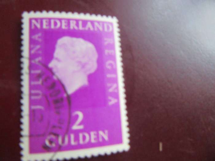 NETHERLANDS -6