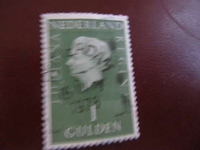 NETHERLANDS -7